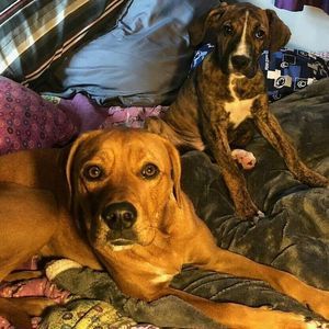 Meet your Posher, Ann